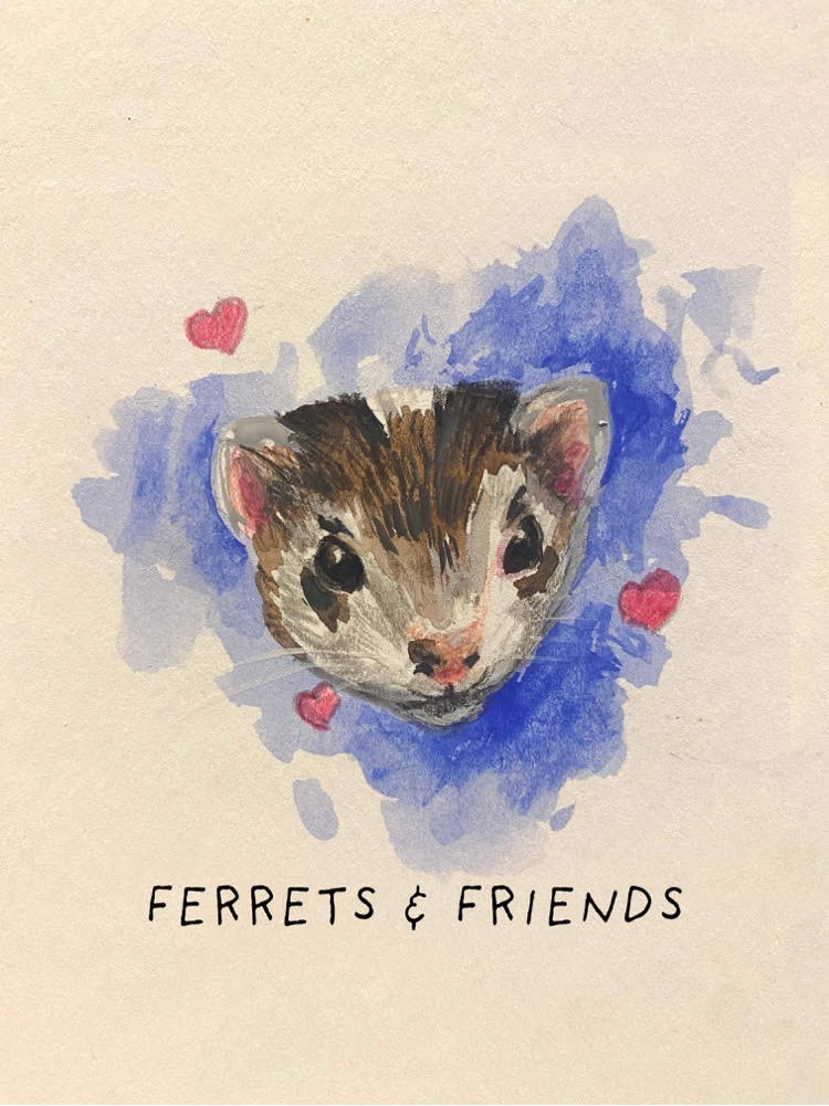 Ferrets & Friends